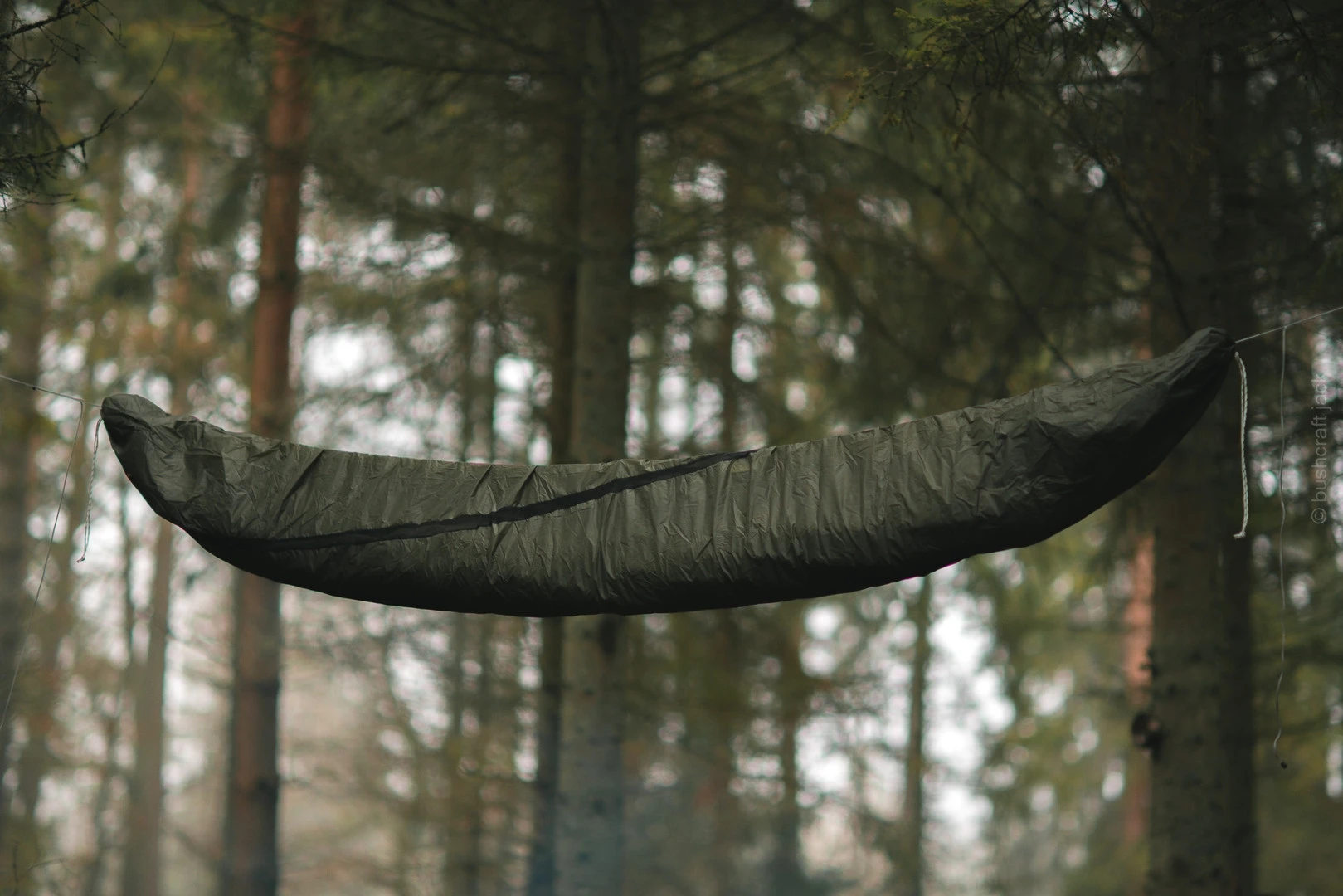 Lesovik Larva 11 Lesovik Larva – Image 9