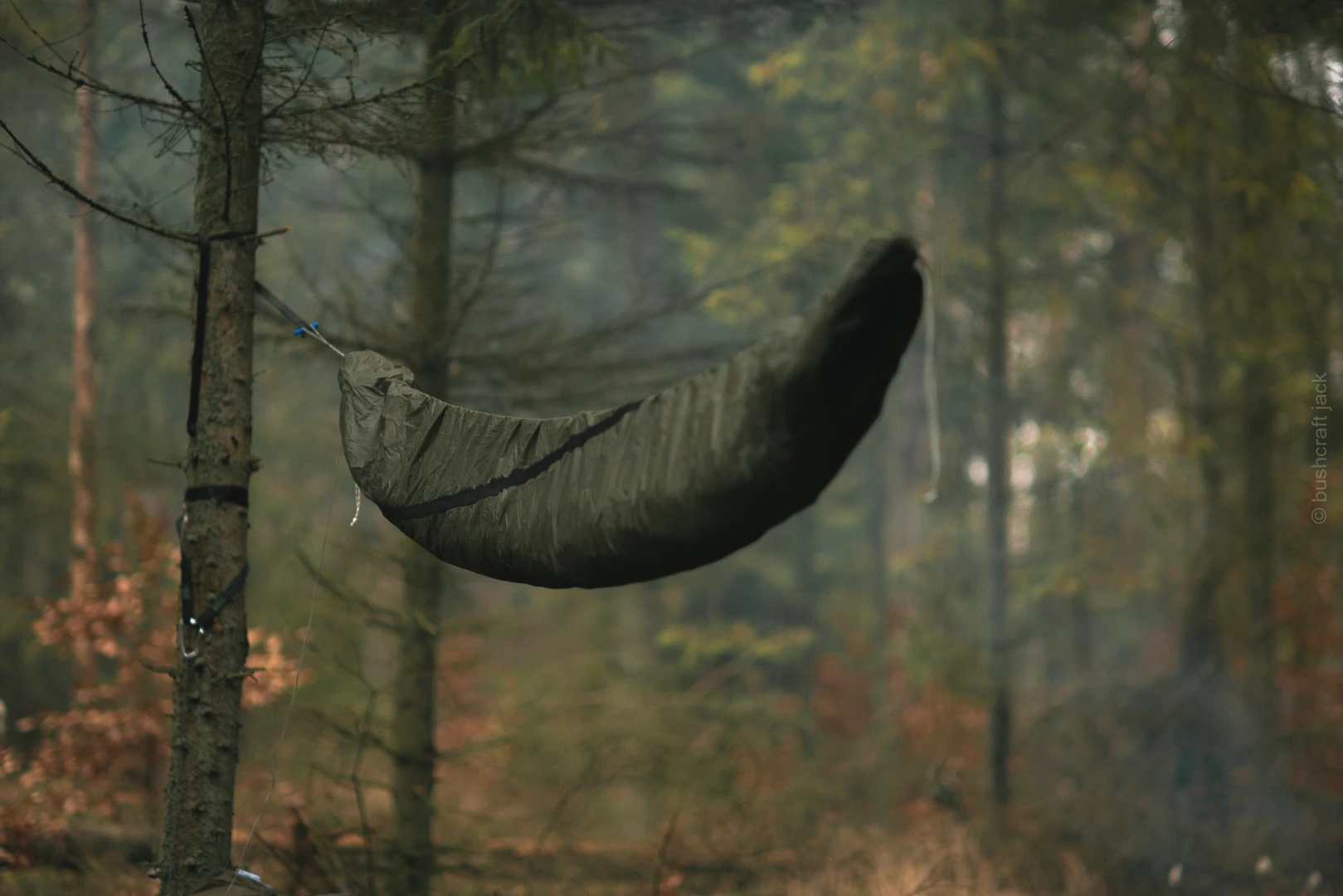 Lesovik Larva 10 Lesovik Larva – Image 8