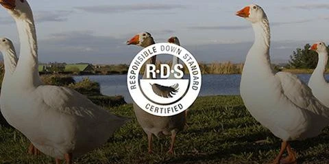 Sea To Summit Ascent ACIII 19 Sea To Summit Ascent ACIII – Image 17