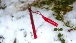 Lesovik Spig Peg -Sacs De Couchage Soldes sardine piquet en aluminium lesovik spig ul peg 04 1