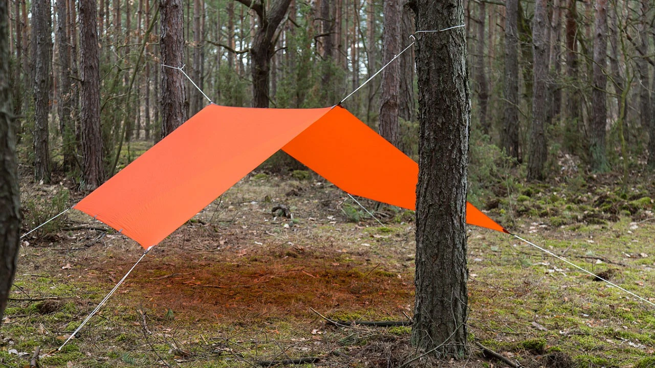 Lesovik Groza 10 Lesovik Groza – Image 8