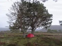 Hilleberg Niak 16 Hilleberg Niak -Sacs De Couchage Soldes tente hilleberg niak 06